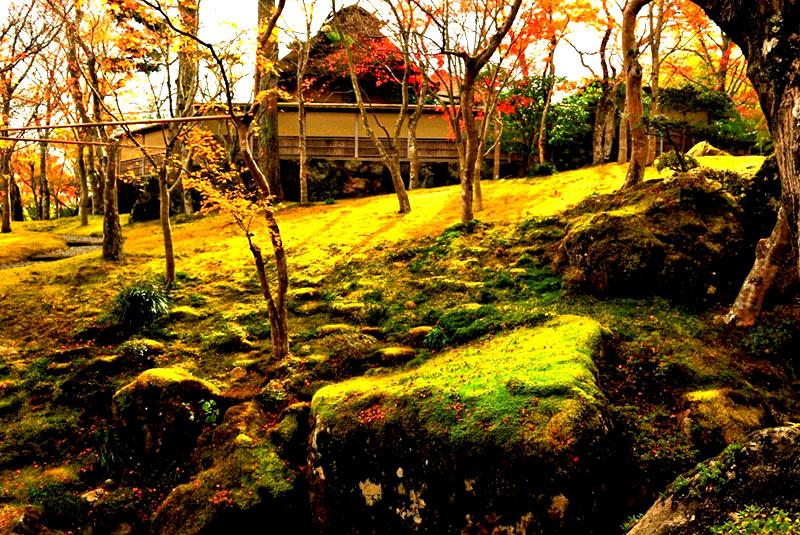 Hakone Moss Garden-Museum of Art