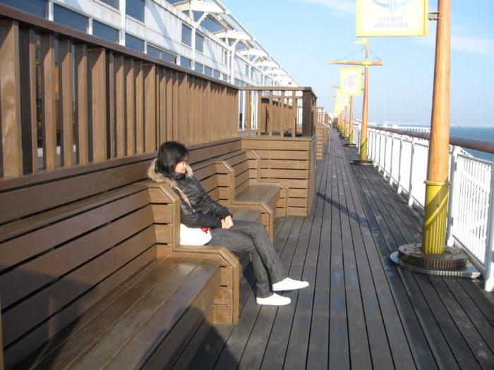 %e7%94%bb%e5%83%8f-085