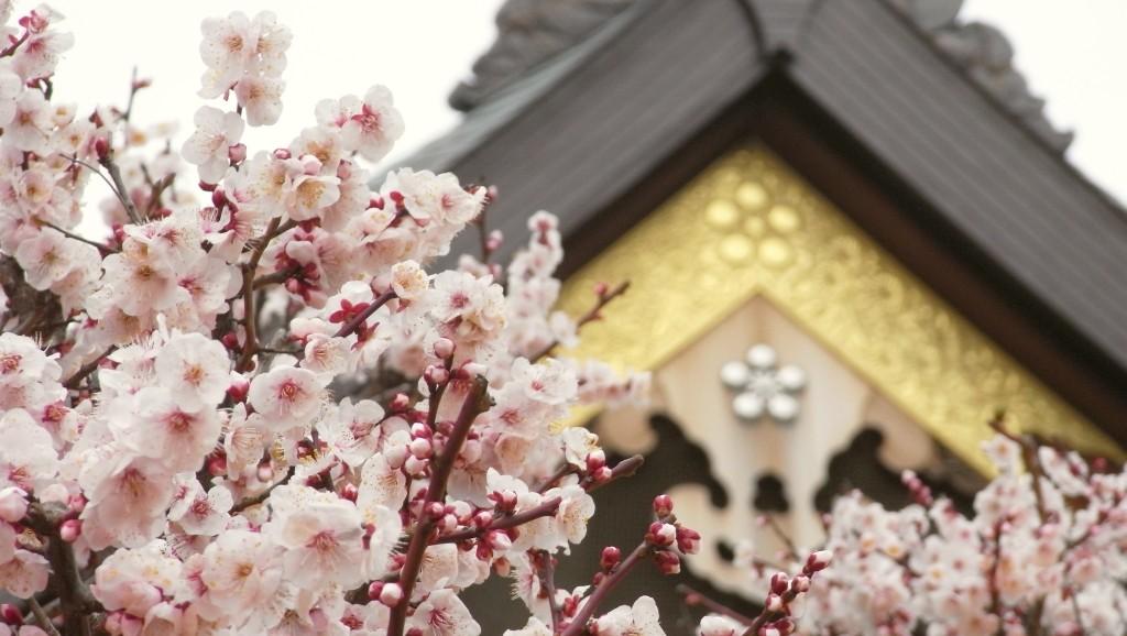 Yushima Tenjin Ume Matsuri 2017