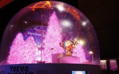 “Blooming in Winter, Miracle Sakura” Illumination