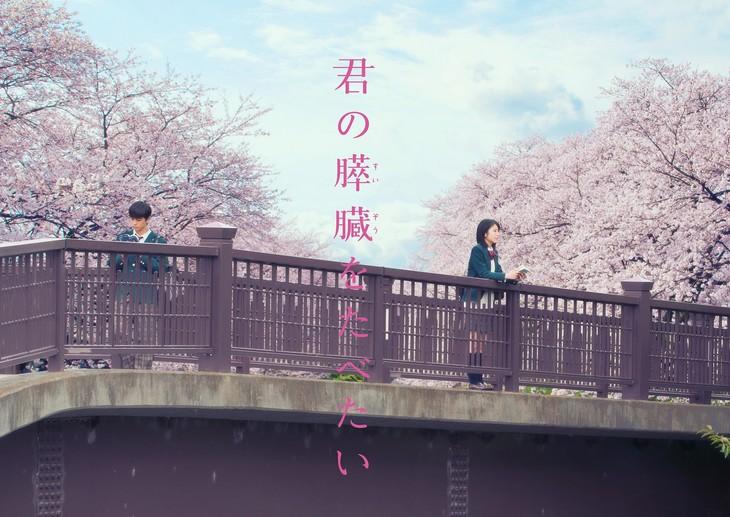 “Kimi no Suizō wo Tabetai” Trailer Released