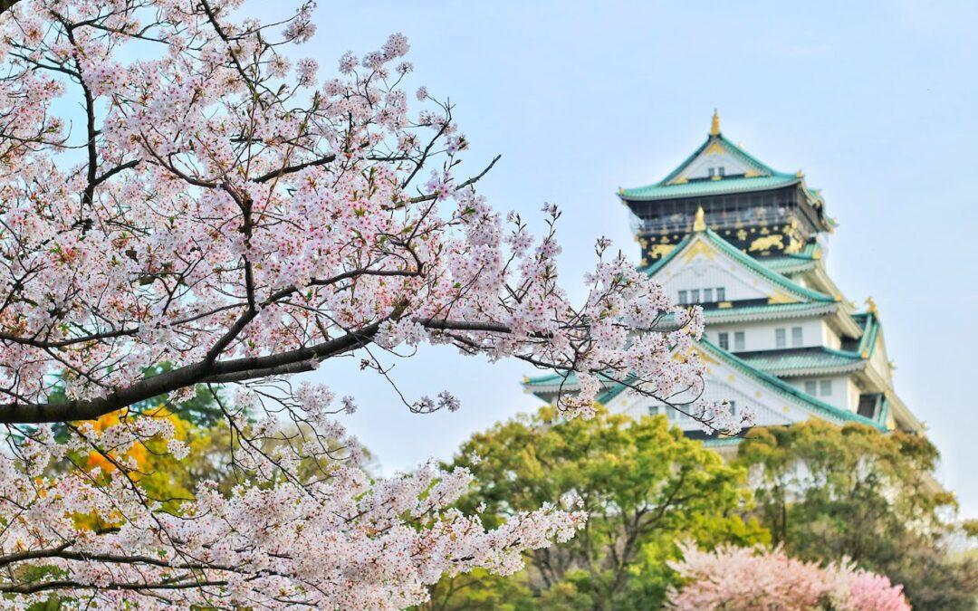 Japan Released: The Best 10 Must-Visit Spots with a Hint of Particularity!